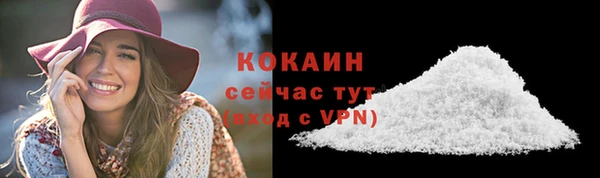 Альфа ПВП Корсаков